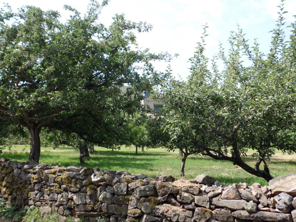 Casa Rural La Altanera Barniedo de la Reina Bagian luar foto